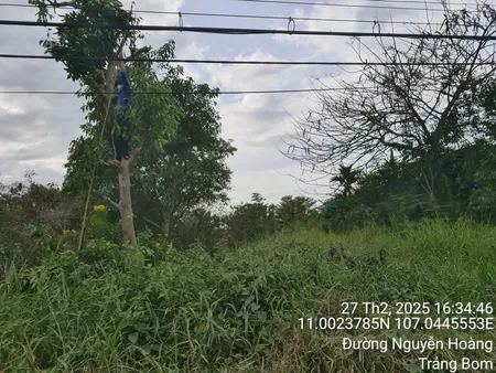 Cắt lỗ 30%, đất vườn Bàu Hàm 2