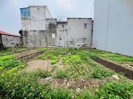 ❌❌❌Bán lô đất 2 mặt đường trước sau ngõ 477 Hùng Vương, Hồng Bàng