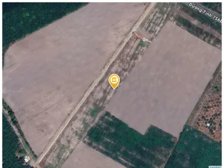 Bán đất 227m² 470 triệu tại Xã Quang Minh Thị xã Chơn Thành