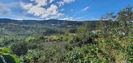 Bán lô đất giá rẻ, phân lô tốt