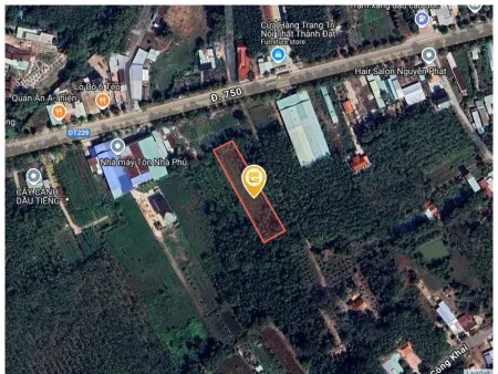 Bán đất 180m² 550 triệu tại Thị trấn Dầu Tiếng Huyện Dầu Tiếng