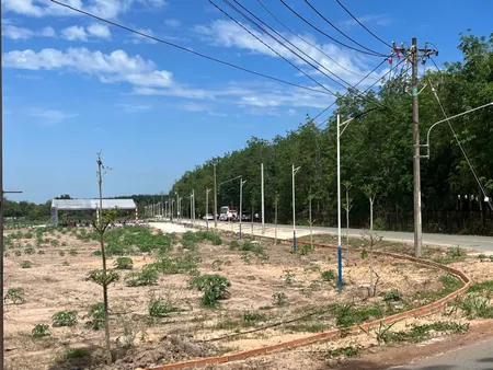 ĐẤT BÀU BÀNG GIÁ RẺ, MẶT TIỀN TRỪ VĂN THỐ