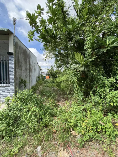 Đất gần đường An Phú 5 giá 1ty2 diện tích 150m2 SĐT: 0394694404