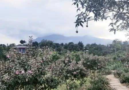 Bán đất nghỉ dưỡng 2900m2 tại Vân Hòa, Ba Vì, Hà Nội