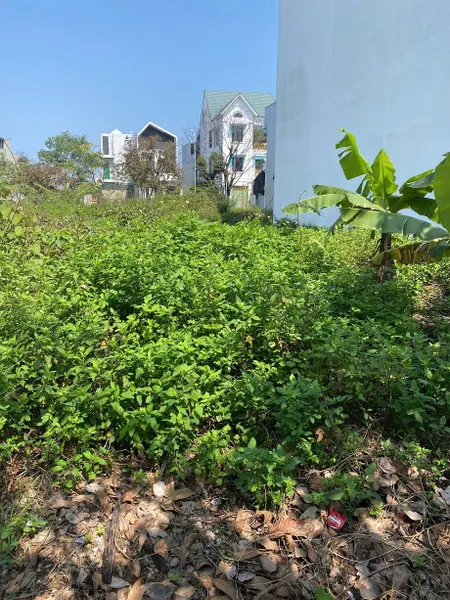 🌟 Bán Đất Khu A Phú Mỹ thượng xây dựng tự do, Phú thượng, Quận thuận hóa , Tp Huế