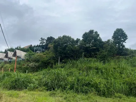 Bán lô đất nông nghiệp giá ưu đãi