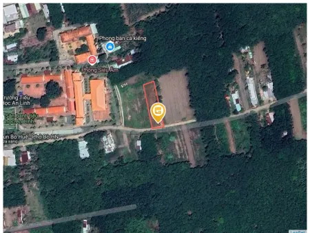 Bán đất 1146.5m² 790 triệu tại Xã An Linh Huyện Phú Giáo
