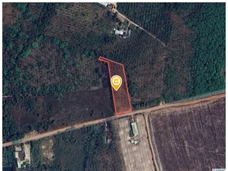 Bán đất 3288.7m² tại Xã Long Hoà Huyện Dầu Tiếng