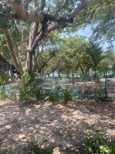 Bán đất 15631.6m² 100 tỷ tại Xã Gành Dầu Thành phố Phú Quốc