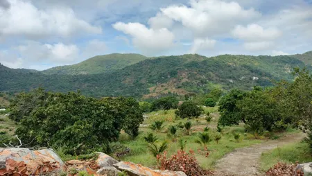 Bán trang trại view đẹp tại Xã Tân Lập, Hàm Thuận Nam, Bình Thuận, 30 tỷ, 225000 m2