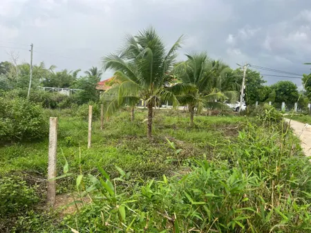 Bán đất 140m² 480 triệu tại Xã Ninh Sơn Thị xã Ninh Hòa