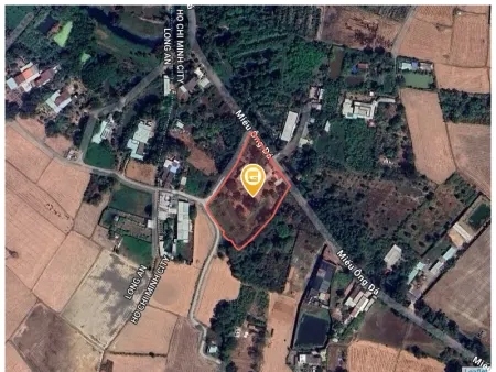 Bán đất 4433m² 50 tỷ tại Xã Bình Chánh Huyện Bình Chánh