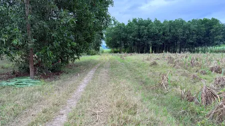 CAM AN NAM -- 1399 M2 -- 61 M NGANG -- CÁCH ĐƯỜNG NHỰA 150 M -- GIÁ CHỈ 377 TRIỆU