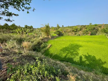 🌳 Đất mặt tiền Đặng Trần Côn, Trà Bá
