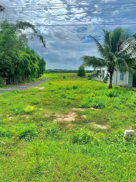 Bán đất 500m² giá 990 triệu tại Phường Lộc Phát Thành phố Bảo Lộc