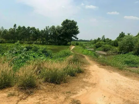 Bán đất 4200m² 5.45 tỷ tại Xã An Phú Huyện Củ Chi