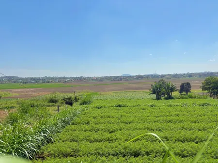💥 Đất hẻm Lý Thường Kiệt view ruộng mát lành
