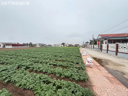 ĐẤT BIỂN QUẤT LÂM GIÁ CHỈ 1 TỶ/ LÔ KHÔNG ĐÂU RẺ HƠN