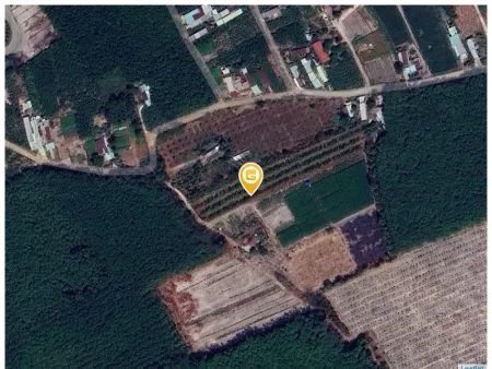 Bán đất 1000m² 180 triệu tại Xã Thành Tâm Thị xã Chơn Thành