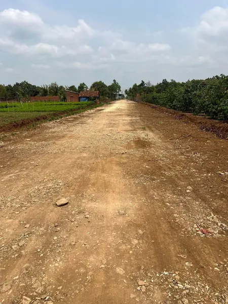 Mặt Đường Nguyễn tri phương,thị trấn eatling,CưJut,Đắk nông