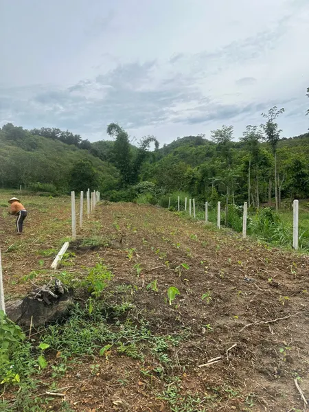 Bán đất 300m² 210 triệu tại Xã Dray Sáp Huyện Krông A Na