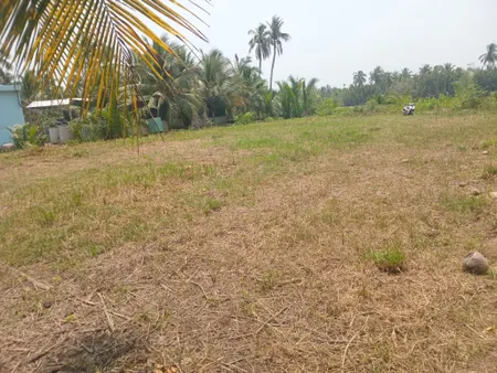 Bán Đất mặt bằng rộng Như SÂn Banh