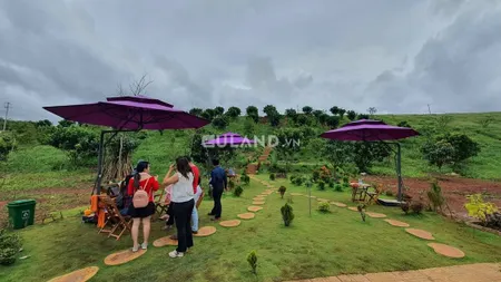 Bán bán  đất thổ cư 8078m² , giá 11 tỷ tại, Phường Cam Nghĩa, Thành phố Cam Ranh, Khánh Hòa