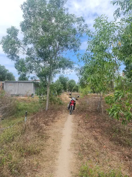 Bán đất thổ cư Tân Phước, thị xã LaGi gần Biển Cam Bình giá rẻ 870 triệu