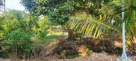 CHÍNH CHỦ CẦN BÁN LÔ ĐẤT VỊ TRÍ ĐẸP TẠI THỊ TRẤN CHỢ GẠO - H. CHỢ GẠO - TIỀN GIANG