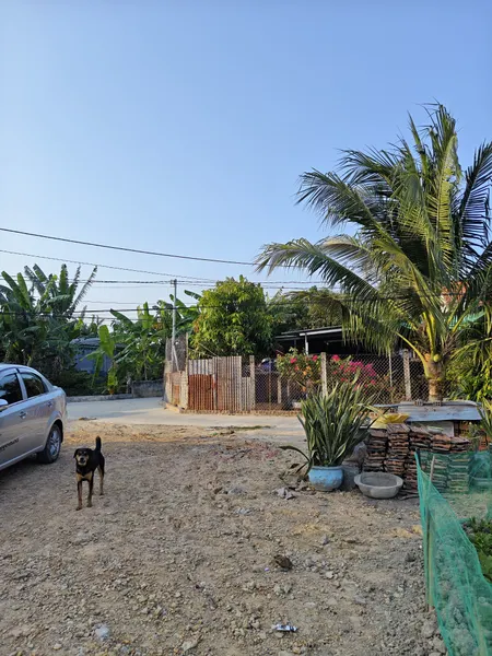 Bán đất 140m² tại Phường Ninh Hiệp Thị xã Ninh Hòa