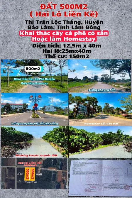 Đất Đẹp -Giá Tốt -  CẦN BÁN GẤP 2 LÔ LIỀN KỀ  tại Thị Trấn Lộc Thắng ,huyện Bảo Lộc, tỉnh Lâm Đồng
