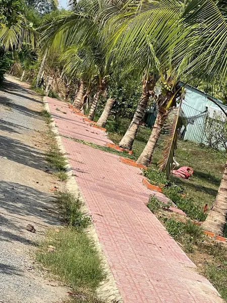 Đất nền Tây Ninh