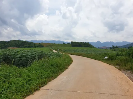 Bán đất 6000m² 3 tỷ tại Xã Phú Vinh Huyện Tân Lạc