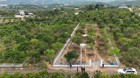 1359m2 sẵn 160m thổ cư, sẵn vườn bơ giá chỉ 1tr7/m2