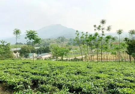 Chính chủ muốn nhượng lại mảnh đất view rất đẹp dành cho các nhà đầu tư, hay nghỉ dưỡng tại xã Ba Trại, huyện Ba Vì, Hà Nội