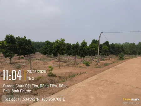 Bán đất 1000m² 370 triệu tại Xã Đồng Tiến Huyện Đồng Phú