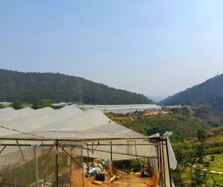Bán đất view đồi thông gần trung tâm Đà Lạt, đi Hồ Xuân Hương hơn 10p