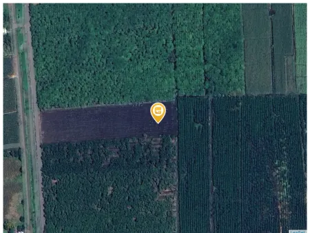 Bán đất 460000m² 193 tỷ tại Xã Tân Lâm Huyện Xuyên Mộc