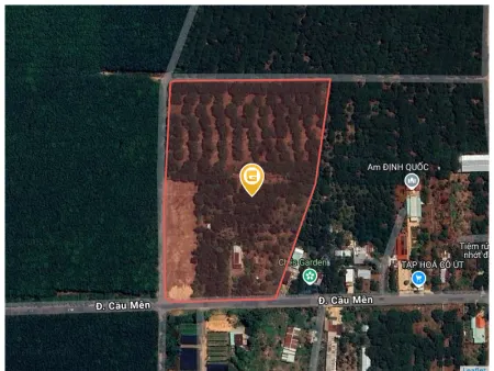 Bán đất 2325m² 8.5 tỷ tại Xã Bình An Huyện Long Thành