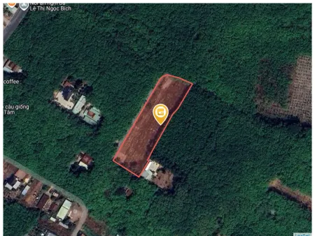 Bán đất 6865m² 19 tỷ tại Phường Chánh Phú Hòa Thị xã Bến Cát
