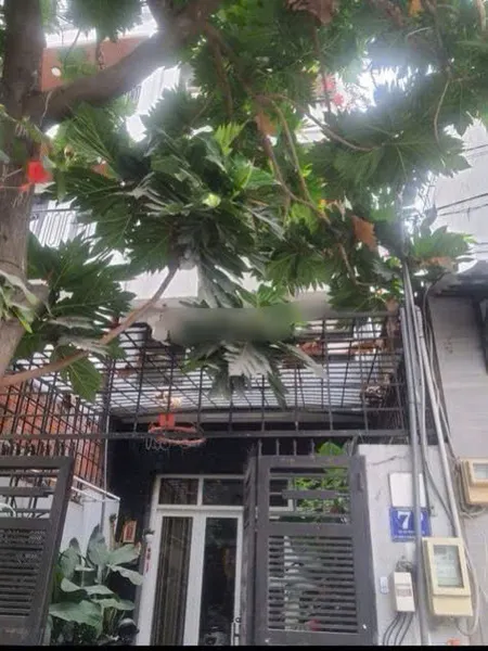 Vị trí : Số 7, Đường Cư xá Phú Lâm D, Phường 10, Quận 6, Tp Hồ Chí Minh