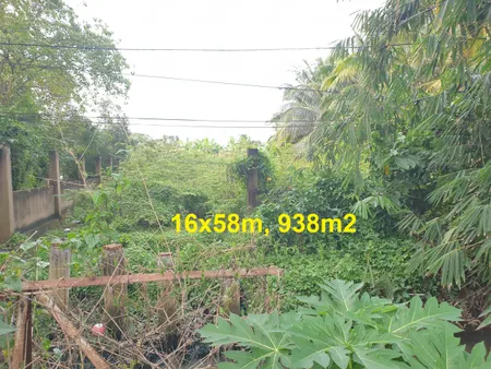 Bán đất đường Tỉnh lộ 9 một sẹc (MT đường 176), Bình Mỹ Củ Chi, 983m2, 16x58m, thổ cư 300m thích hợp xây kho xửng