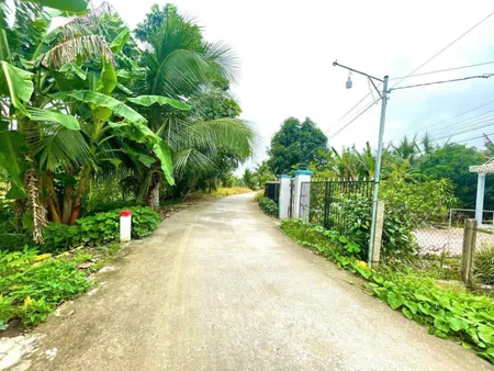 CHỦ Cần BÁN NỀN MẶT TIỀN NGANG 20M LỘ Ô TÔ GẦN CĂN NHÀ MÀU TÍM - TÂN PHÚ - CÁI RĂNG