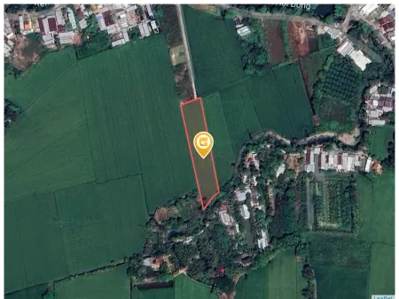 Bán đất 2775.5m² tại Phường Mỹ Quý Thành phố Long Xuyên