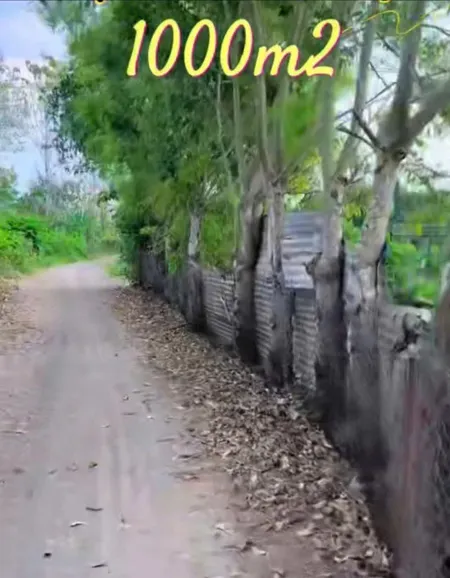 Bán đất Phú Hòa - Định Quán