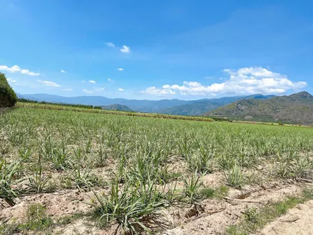 ĐẤT ĐẸP - GIÁ TỐT - Vị Trí Đắc Địa Tại Suối Mây, Quảng Sơn, Ninh Sơn, Ninh Thuận