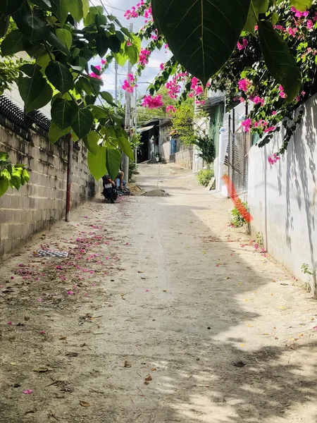Bán đất hẻm ô tô đường Nguyễn Đức thuận cao ráo view thoáng mát