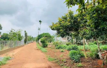 Bán đất 1021.5m² 390 triệu tại Xã Tân Lợi Huyện Hớn Quản