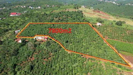 ĐẤT ĐẸP - GIÁ TỐT - Vị Trí Đắc Địa Tại Tân Nghĩa, Huyện Di Linh, Lâm Đồng