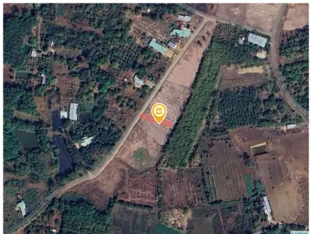 Bán đất 246.3m² 320 triệu tại Xã Thanh Phú Thị xã Bình Long